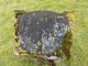 Photo of headstones/thumb_Anne MacLennan (Chisholm) died 1947 MI Fodderty